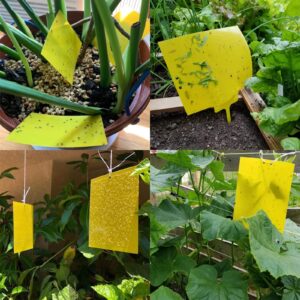 Garutom 30-Pack Dual-Sided Yellow Sticky Traps for Flying Plant Insect Such as Fungus Gnats, Whiteflies, Aphids, Leafminers, etc (6x8 Inches, Included 30pcs Twist Ties)