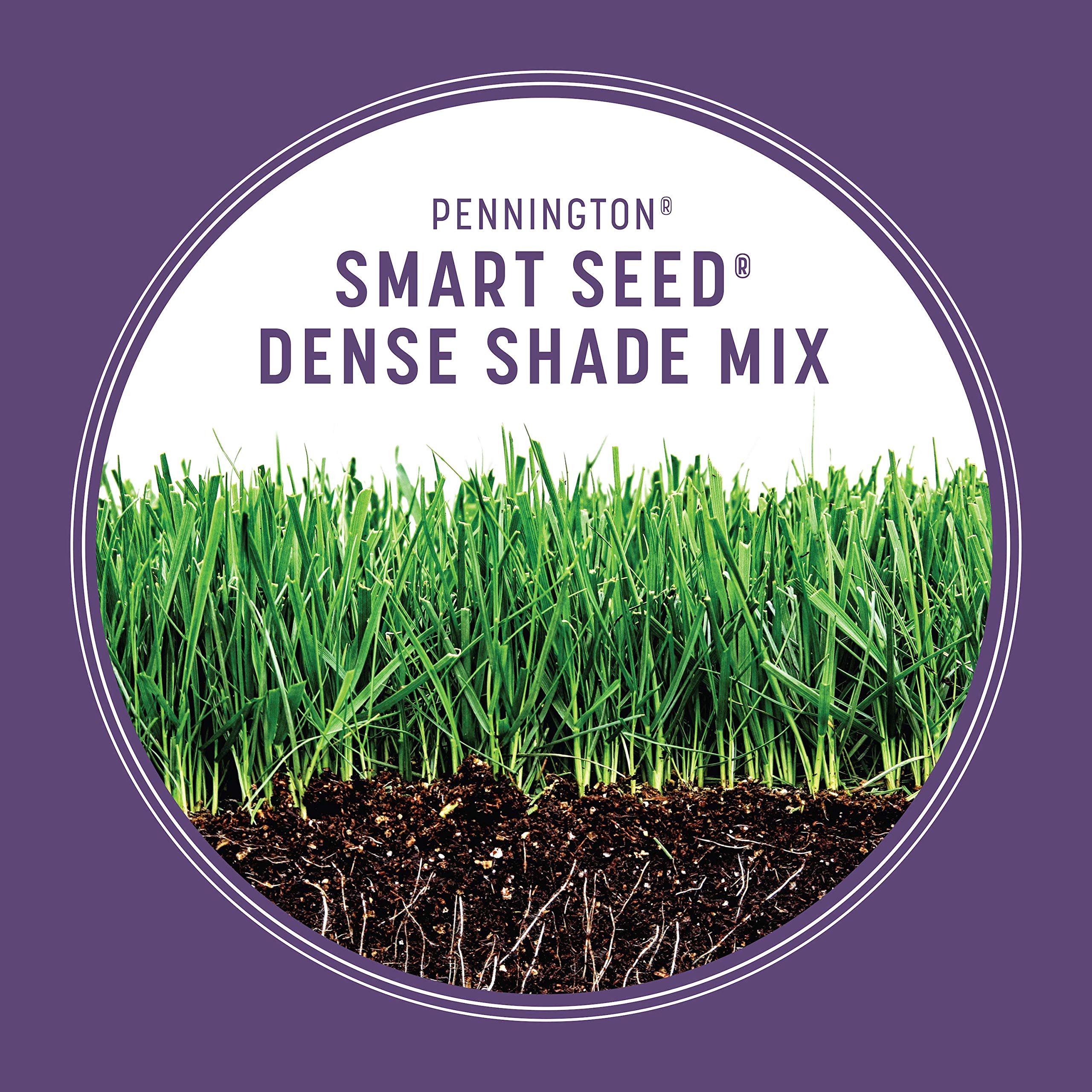 Pennington Smart Seed Dense Shade Grass Mix 3 lb