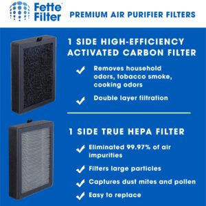 Fette Filter - LV-H128 True HEPA H13 Replacement Filter Compatible with LEVOIT LV-H128-RF/Valkia PU-P02 / PUURVSAS HM669A / ROVACS RV60 Air Purifier Models Part # LV-H128-RF 2-QTY