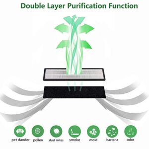 Eureka NEA120 True HEPA Filter, Compatible with Eureka Instant Clear NEA120 (NEA-F1/ NEA-C1) and Toshiba Smart WiFi (CAF-W36USW) Air Purifier, 2 pack