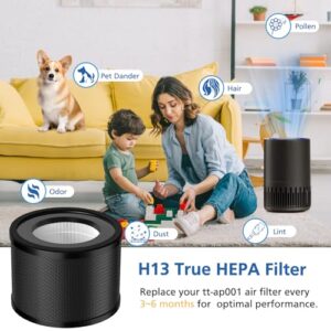 2 Pack H13 True HEPA Replacement Filter, Compatible with TaoTronics TT-AP001 and VAVA VA-EE014, 3-in-1 H13 Grade True HEPA and Activated Carbon Filter