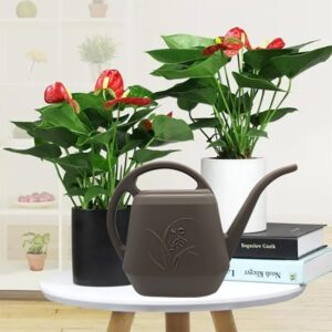 VKPLITE Plant Watering Can - 1/2 Gallon