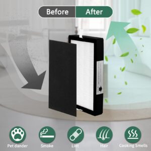 FLT4100 HEPA Filter E Replacement for Air Purifier AC4100, AC4100CA, AC4150BL, AC4150PCA, Funmit 2 True HEPA Filter + 8 Activated Carbon Filter