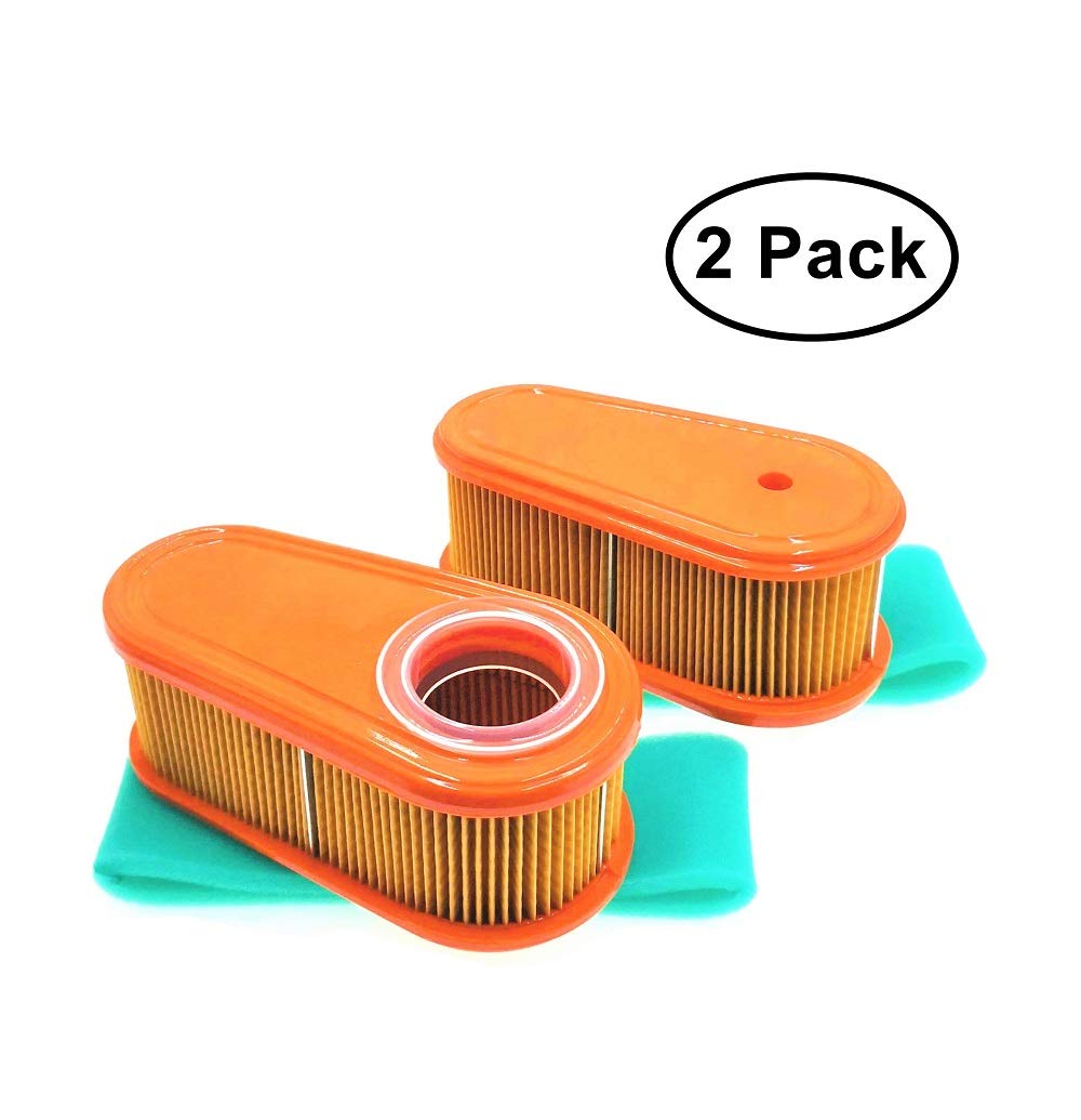 MOWFILL 2 Pack 795066 Air Filter Replace for BS 5419,796254 OEM Air Cleaner Cartridge with 796254 Pre Filter Fits Lawn Mower Air Cleaner Element