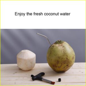 2 Pack Coconut Opener Tool with 4 Reusable Straws and Brush, Easy & Convenient Straw Hole Maker, Food Grade Stainless Steel Coconut Opening Tool Pouch Tap for Young Fresh Thai Hawaii Coco Water Juice