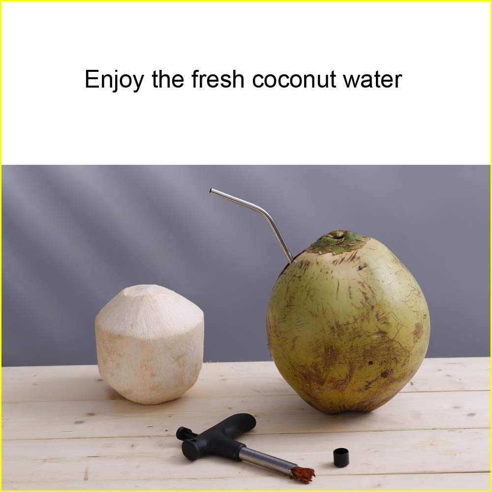 2 Pack Coconut Opener Tool with 4 Reusable Straws and Brush, Easy & Convenient Straw Hole Maker, Food Grade Stainless Steel Coconut Opening Tool Pouch Tap for Young Fresh Thai Hawaii Coco Water Juice