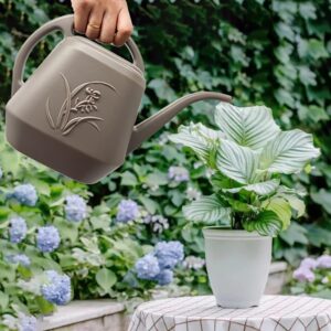 VKPLITE Plant Watering Can - 1/2 Gallon