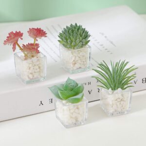 Cute Succulent Fridge Magnet, 4-Pieces 3D Plant Magnets for Refrigerator Whiteboard Mini Decorative Magnets for Locker Kitchen Office (Plant 1)