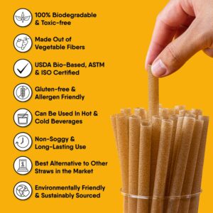 The Veggie Straws – 150 PCS of 4.75 Inches Unwrapped Biodegradable Drink Stirrers – Made of Vegetable Fibers, Best Cocktail Stirrers for Drinks of All Kinds