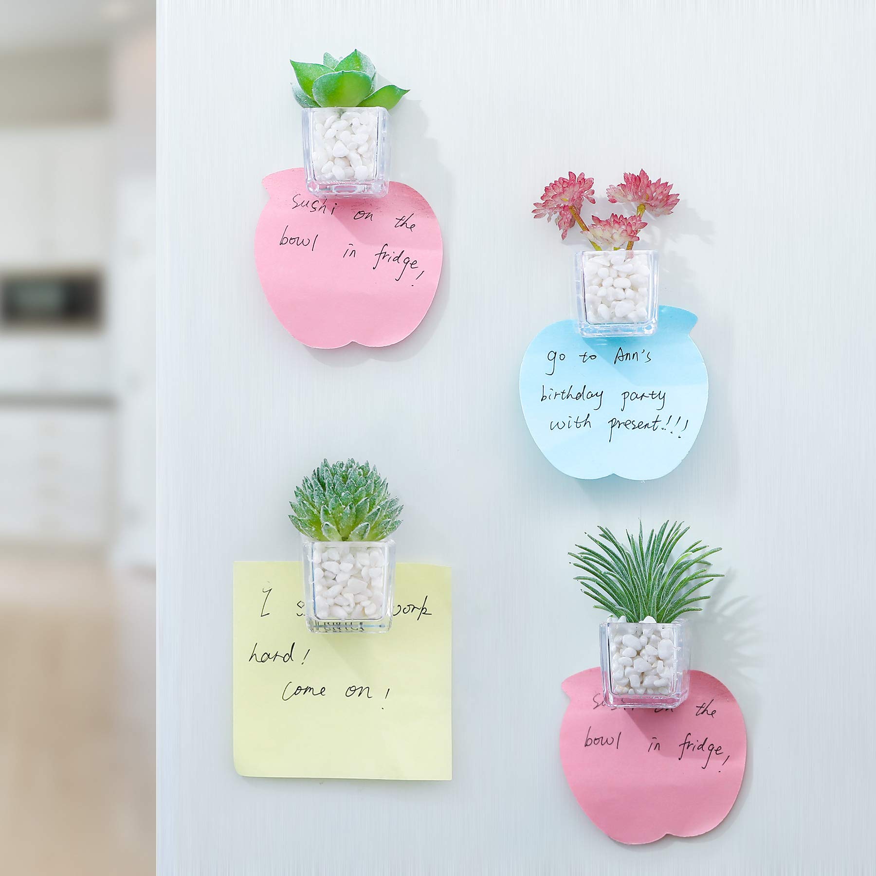 Cute Succulent Fridge Magnet, 4-Pieces 3D Plant Magnets for Refrigerator Whiteboard Mini Decorative Magnets for Locker Kitchen Office (Plant 1)