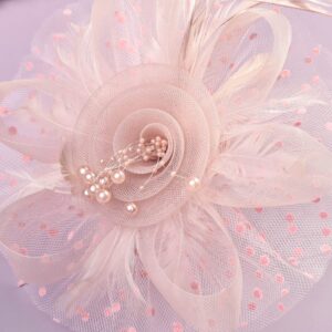 Zivyes Blush Pink Fascinators Hat for Women Tea Party Headband Kentucky Derby Wedding Cocktail Flower Mesh Feathers Hair Clip