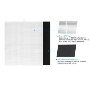 AP-1512HH True HEPA Replacement filter, Compatible with Coway Airmega AP-1512HH, AP-1512HH-FP, AP-1518R, AP-1519P, Item NO #3304899 (2 HEPA Filters + 4 Odor Pre-filters)