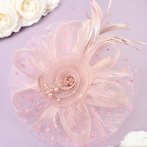 Zivyes Blush Pink Fascinators Hat for Women Tea Party Headband Kentucky Derby Wedding Cocktail Flower Mesh Feathers Hair Clip