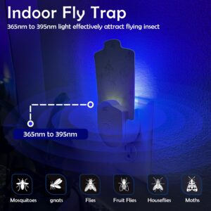 SmartCatch Flying Insect Trap Plug-in for Gnats, Fruit Flies, Mosquito, House Flies - UV Light, Indoor, Odorless and Mess Free-1 Device + 3 Glue Cards