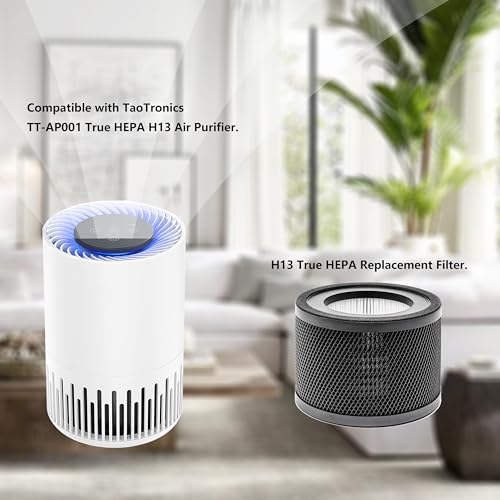 WOCASE TT-AP001 True HEPA Filter Replacement, Compatible with TaoTronics TT-AP001 and and VAVA VA-EE014 Air Purifier, H13 True HEPA Filter & Activated Carbon Filter, 2 Pack