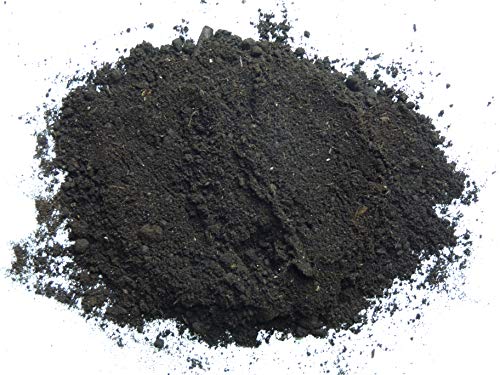 Earth Science – Earthworm Castings – Premium Plant Fertilizer for Indoor & Outdoor Plants – Soil Enhancer for Vegetable Gardens 4lb