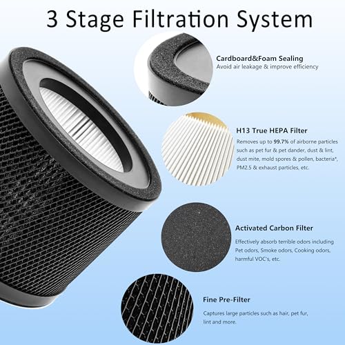 WOCASE TT-AP001 True HEPA Filter Replacement, Compatible with TaoTronics TT-AP001 and and VAVA VA-EE014 Air Purifier, H13 True HEPA Filter & Activated Carbon Filter, 2 Pack