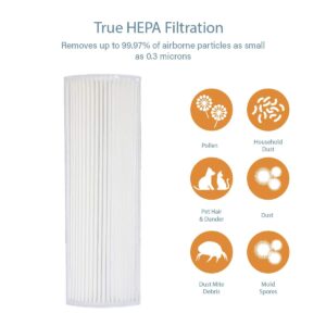 Filter-Monster True HEPA Replacement Filter Compatible with Therapure TPP220M TPP220H Air Purifier, 2 Pack