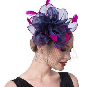 Fascinators Hat for Women Tea Party Headband Girls Flapper Headpiece Kentucky Church Derby Wedding (FM02-Navy and Rose)