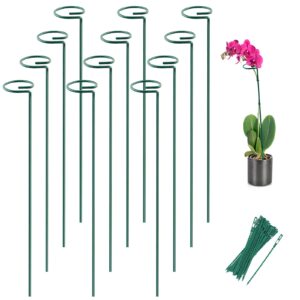 joyhalo 12 pack plant stakes, 16 inch plant support stakes, plant sticks support with 24 twist ties, flower stakes for plants peony, amaryllis, marigold, coreopsis, tomato seedling, sapling etc