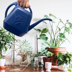 UFANME Plant Watering Can with Long Spout for Inoor and Outdoor - 1/2 Gallon - Blue