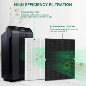 Laukowind 116130 Filter H Replacement for Winix 5500-2 Air Purifier and Models AM80-2, Includes 1 Pack Ture Filters and 1 Pack Activated Carbon Pre-filters (1 Sets)