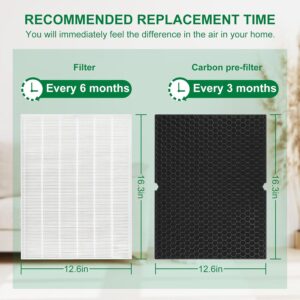 Laukowind 116130 Filter H Replacement for Winix 5500-2 Air Purifier and Models AM80-2, Includes 1 Pack Ture Filters and 1 Pack Activated Carbon Pre-filters (1 Sets)