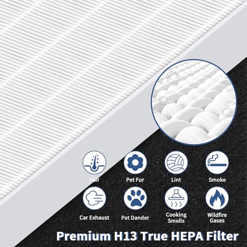 C545 True HEPA Replacement Filter S Compatible with Winix C545 Air Purifier Replacement for Winix S Filter 1712-0096-00 and 2522-0058-00, Funmit 2 x True HEPA Filter + 8 x Activated Carbon Pre-Filter