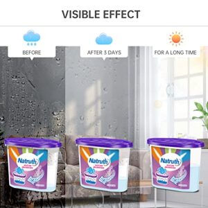 NATRUTH Moisture Absorbers With Lavender Scent,12.5OZ*6-Pack Portable Closet Dehumidifier, Odor Eliminator Absorber Bucket,Humidity Absorber,Cleaner Air Dehumidifier for Closet,Bathrooms, Kitchen