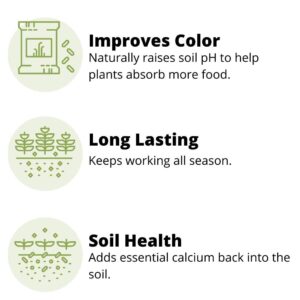 Earth Science Fast Acting Lime - Instantly Raise pH of Soil & Reduce Nutrient Runoff for Improved Growth & Color - Long Lasting Lawn Care with Calcium (2.5lb)