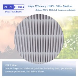 PUREBURG YY350 Replacement True HEPA Filter Kit Compatible with Lasko LP300 and LP450 Air Purifiers, Part Number YY350,H13 4 Activated carbon Pre-Filters Air Clean Dust VOCs Odor