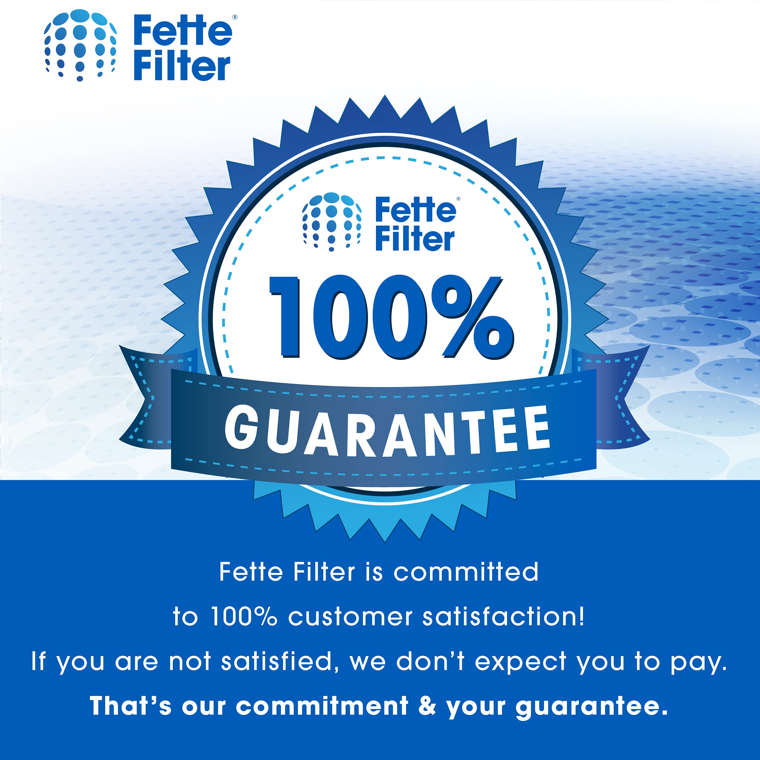 Fette Filter - 311 Air Purifier Replacement Filters, Compatible with Blueair Pure 311 High-efficiency 2-in-1 Filtration Systems, Particle Filter + Carbon Filter (Pack of 2)