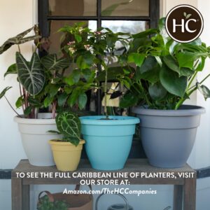 The HC Companies 8 Inch Caribbean Planter - Lightweight Indoor Outdoor Plastic Plant Pot for Herbs and Flowers, Black