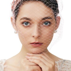 BABEYOND Bridal Wedding Veil Fascinator Mesh Lace Headband Tea Party Flower Fascinator Funeral Hats for Women