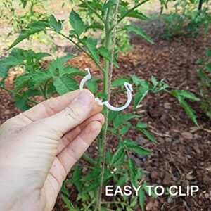 DOMG 300 Pcs Tomato Trellis Clips, Garden Plant Vine Support Clips for String Trellis