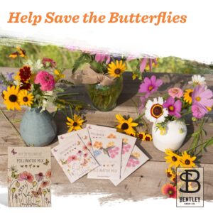 Bentley Seeds Pollinator Seed Mix - Pre-Filled, Non-GMO, Non-Coated Butterfly Seed Packets - 25 Annual Wildflower Seed Packs - Perfect Eco-Friendly Gift