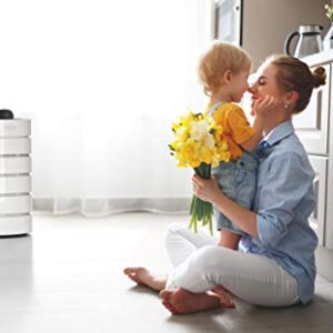 Carrier Smart Air Purifier Includes HEPA Filter and Air Quality Sensor, AHAM Verified for Rooms up to 560 Sq. Ft. with 360 Degree Filtration, White, 31.5 Inches (RMAP-SXL)