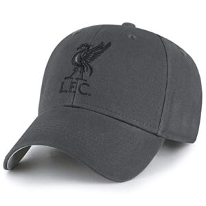 liverpool fc charcoal crest cap - authentic epl merchandise