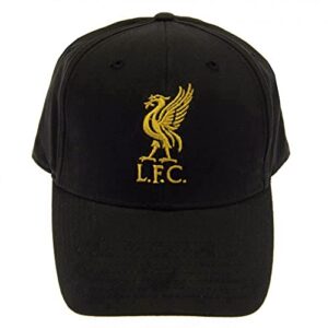 Liverpool FC Charcoal Crest Cap - Authentic EPL Merchandise