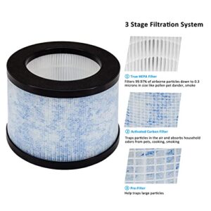 WOCASE 2 Pack MK01 TZ-K1 True HEPA Replacement Filters,Compatible with AROEVE MK01 MK06 MG01JH,Kloudi Air Cleaner Purifier DH-JH01,TZ-K1,Elechomes EPI081/EP1081,Intelabe EP1080 Air Purifier