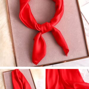 LNYSOTX Red Scarf Red Ascot Fred Scooby Doo 1950s Neck Scarf Satin Silk Mime Costume Accessories Hair Bandanas