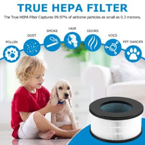 2 Pack AF-3222 H13 True HEPA Replacement Filter Compatible with Bulex AF-3222 Device, H13 Grade True HEPA Filter and Activated Carbon Filter Set