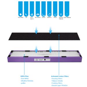 WOCASE FLT5250PT True HEPA Replacement Filter C Pet Compatible with GermGuardian Air Purifier AC5250PT, AC5000E, AC5300B,AC5350W,AC5350B,CDAP5500BCA,CDAP5500WSP,BXAP250,IAP-GG-125,2 HEPA+ 6 Pre-Filter