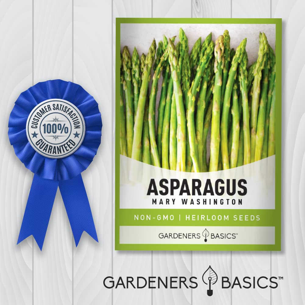 Gardeners Basics, Asparagus Seeds for Planting - Mary Washington Non-GMO Perennial Vegetable Variety- 2 Grams Seeds Great for Spring and Early Summer Gardens