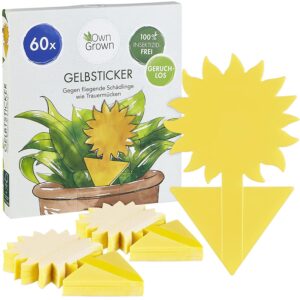 yellow sticky traps for gnats: 60x sticky fly traps for indoors – gnat traps for house indoor plants – fruit fly trap owngrown