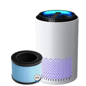 AROEVE Air Purifier with Two Filter(One Basic Version & One Standard Version)