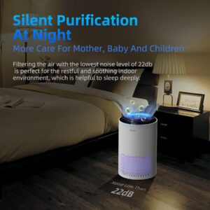 AROEVE Air Purifier with Two Filter(One Basic Version & One Standard Version)