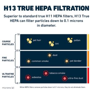 HATHASPACE Certified Replacement Filter for HSP003 Dual Filtration HEPA Air Purifier, 1 Set (H13 True HEPA)