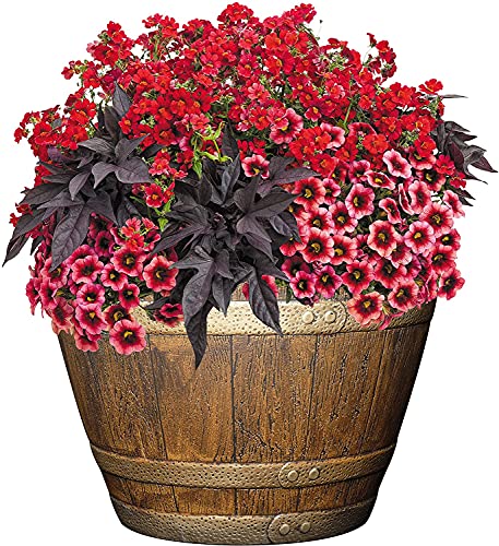 Classic Home and Garden Whiskey Plastic Resin Flower Pot Barrel Planter, 15", Oak Brown (2 Pack)