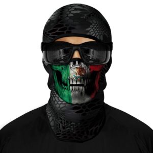 Red Plume 3D Balaclava Ski Mask Motorcycle Full Face Mask Outdoor Tactical Hood Headwear Mask Ghosts Skull Mask Men Women for Halloween (Skull 2)